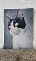 Retrato de mascota (30 x 40 cm)